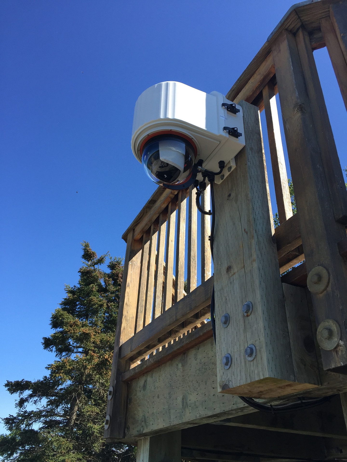 Axis V5938 Integrated in X|Clear Housing Installed at Brooks Camp Alaska 