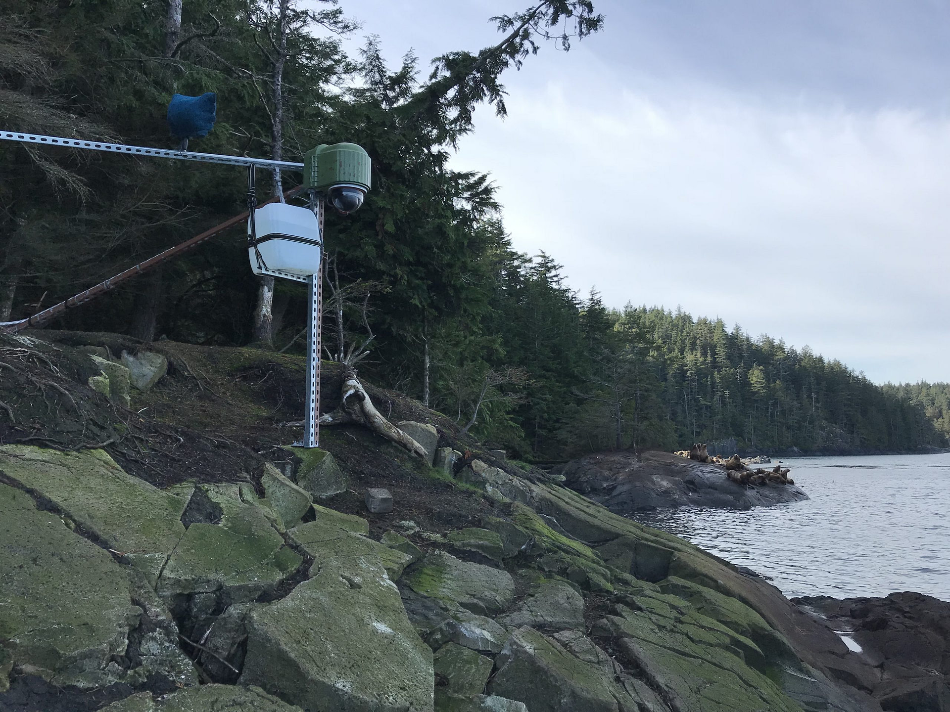 X|Clear Enclosure with Aux Reservoir System Installed Overlooking SeaLions in BC Canada 