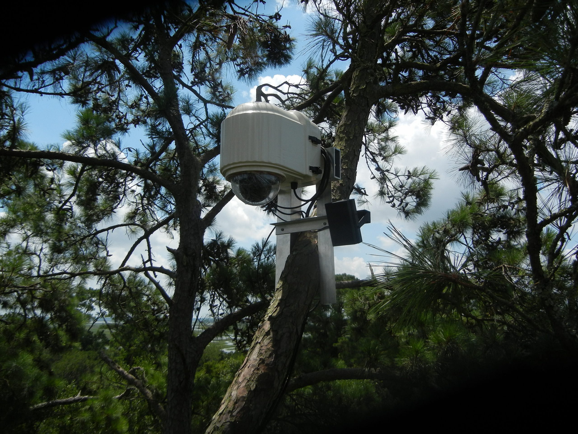 XHeat Climate Controlled PTZ Camera Enclosure System For Extreme Cold Conditions Installed In A Tree Overlooking A Bald Eagles Nest In Savannah Georgia 
