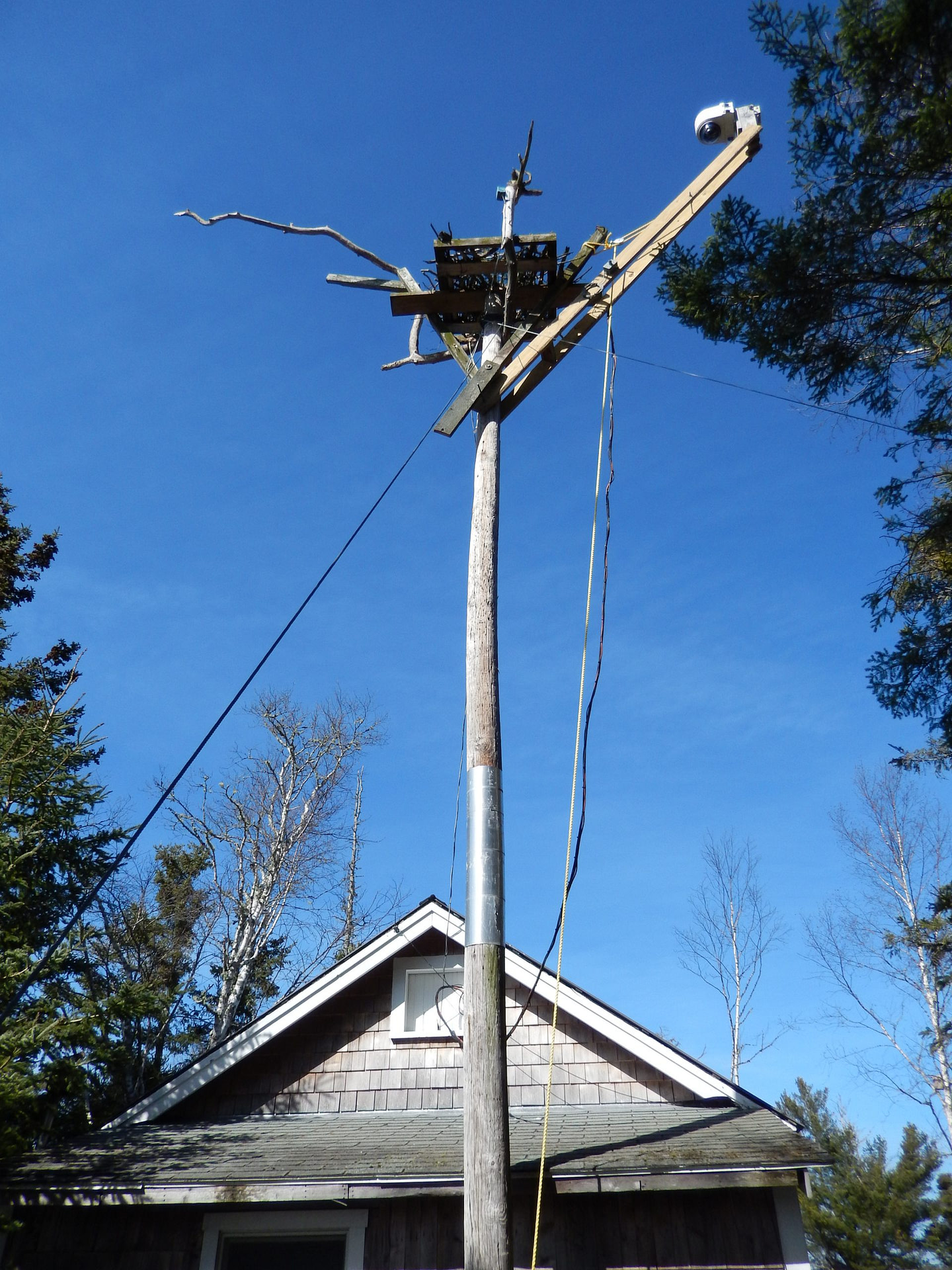XMod PTZ Camera Enclosure System For Moderate Climate Conditions Installed On Hog Island Overlooking An Osprey Nest In Bremen Maine 