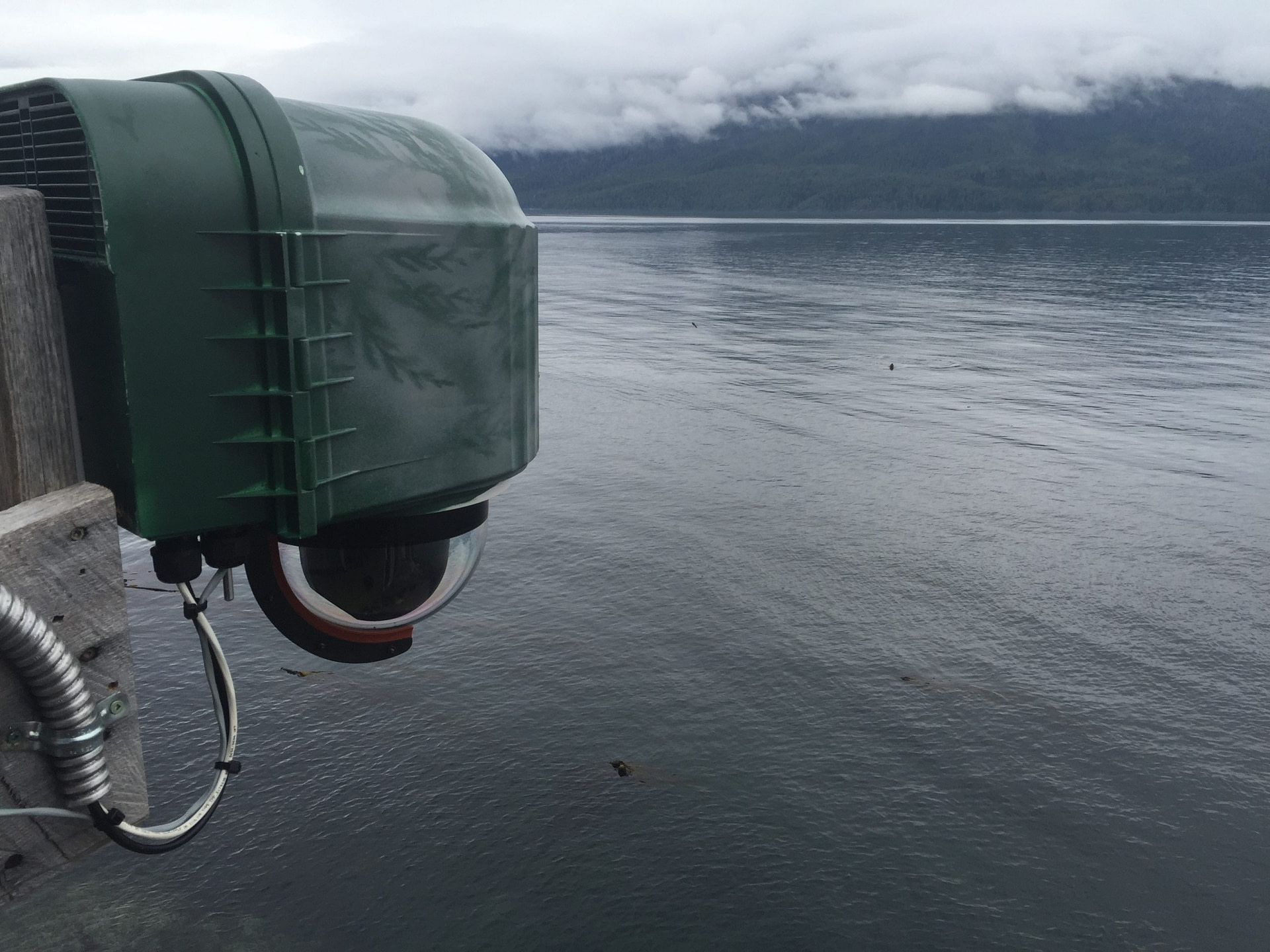 XRain Self Wiping Camera Enclosure System Installed At Critical Point With Orcalab Overlooking Resident Orcas In Johnstone Strait In British Columbia Canada 